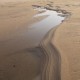 사진-내성천 하류의 모래, 맑은 물, 민물조개가 만든 길_2011_사진 지율